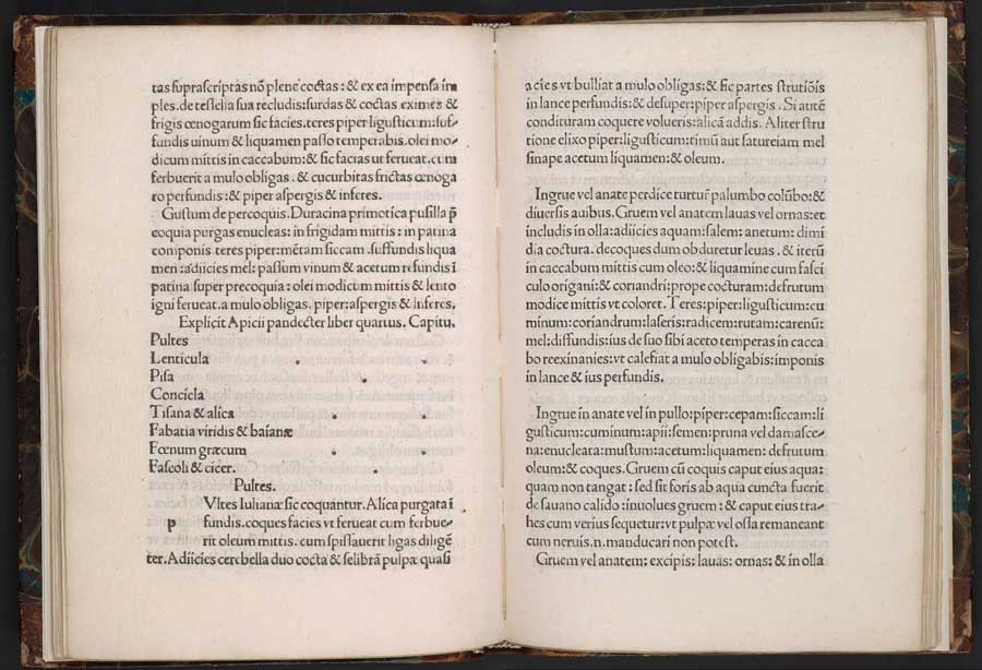 Pages from de re coquinaria (Of Culinary Matters)