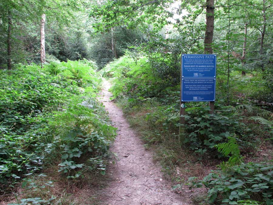 Egypt wood Buckinghamshire UK © David Hawgood (cc by-sa-2.0)