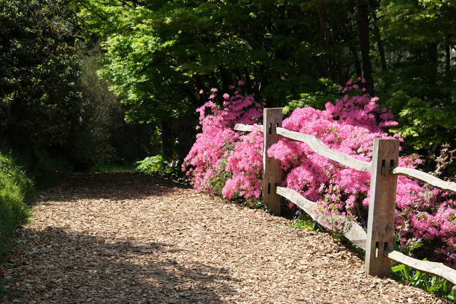 Path at Wakehurst West Sussex