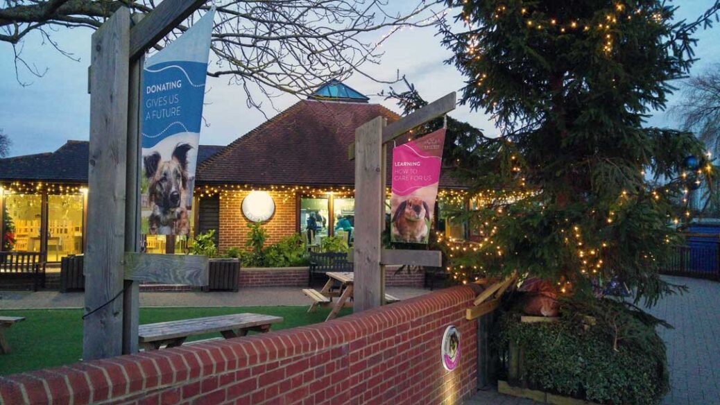 Raystede animal rescue centre Christmas Fair East Sussex