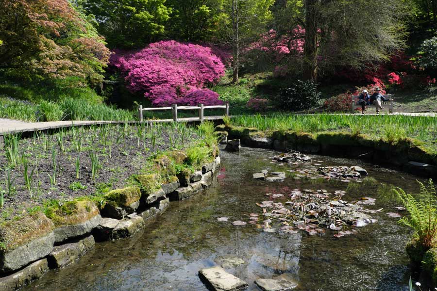 Water Gardens at Wakehurst West Sussex