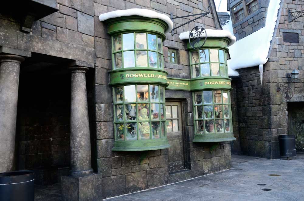 Gogweed and Deathcap shop Hogsmeade - Islands of Adventure Florida