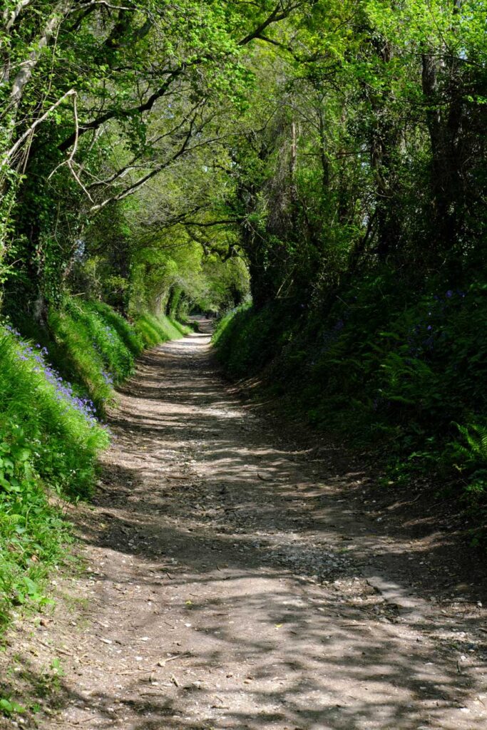 Windmill Trail, Halnaker, Chichester, West Sussex