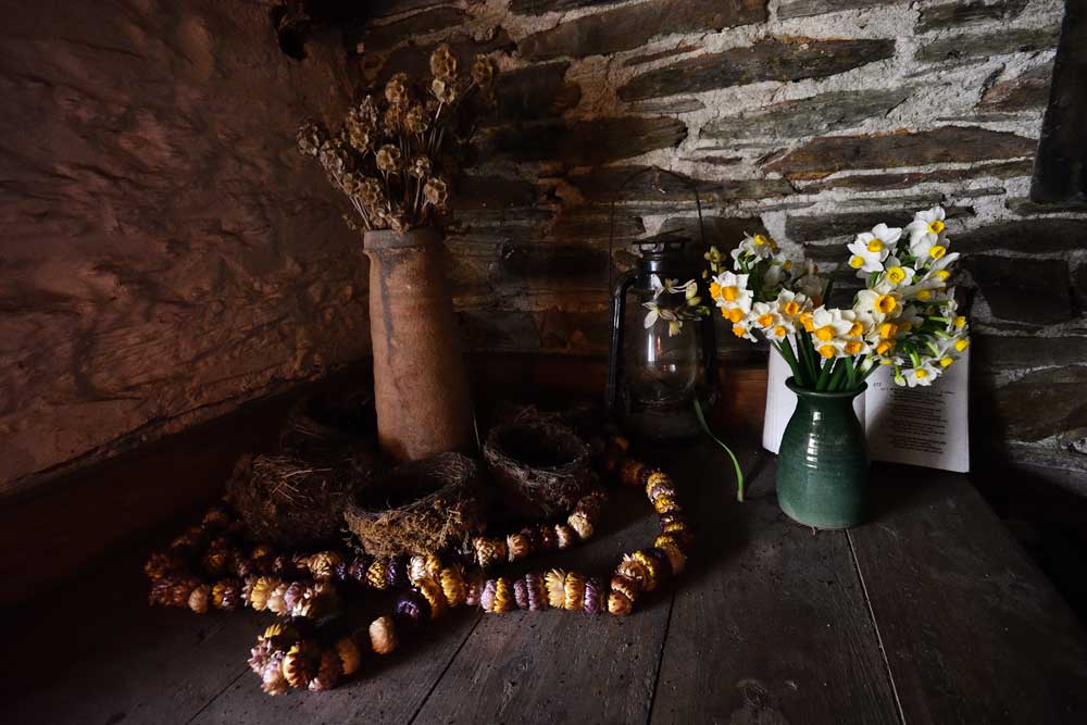 Display inside the potting shed at Heligan Gardens, Cornwall