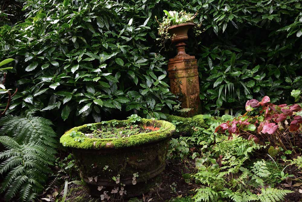 The Lost Gardens of Heligan, Cornwall