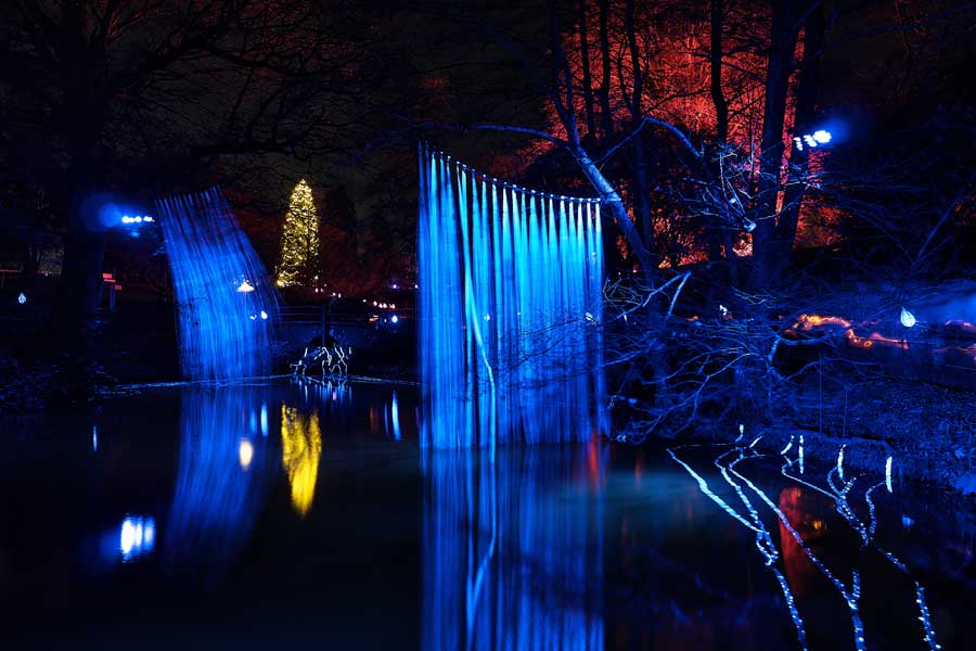 Bioluminescent art at the Black Pond at Glow Wild Wakehurst West Sussex