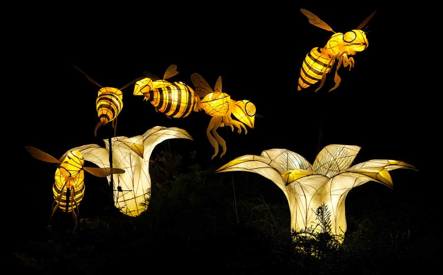 Flying bees and flower lanterns at Glow Wild Wakehurst West Sussex