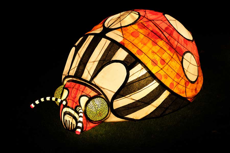 Giant ladybird lantern display at Wakehurst West Sussex