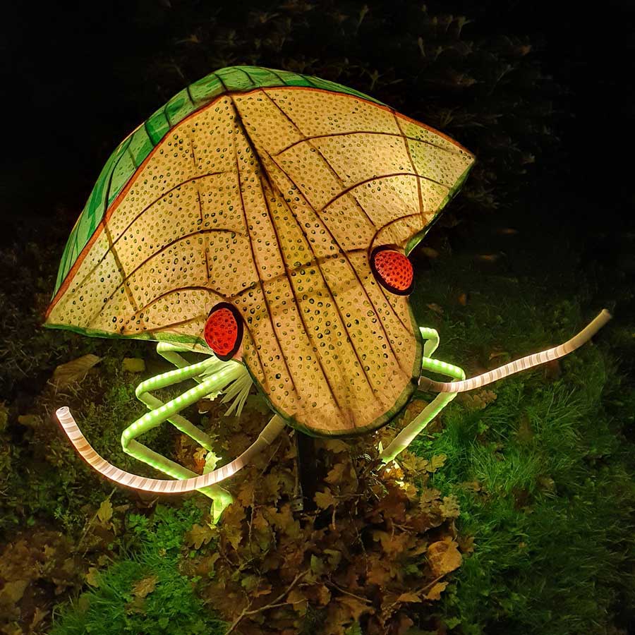 Giant shield bug lantern display at Glow Wild Wakehurst West Sussex