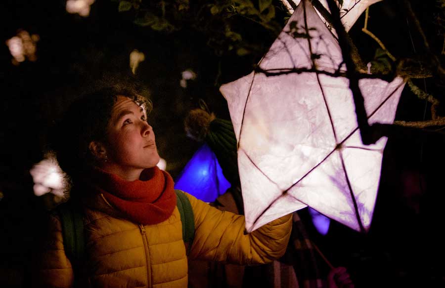 Lanterns at Glow Wild Wakehurst West Sussex