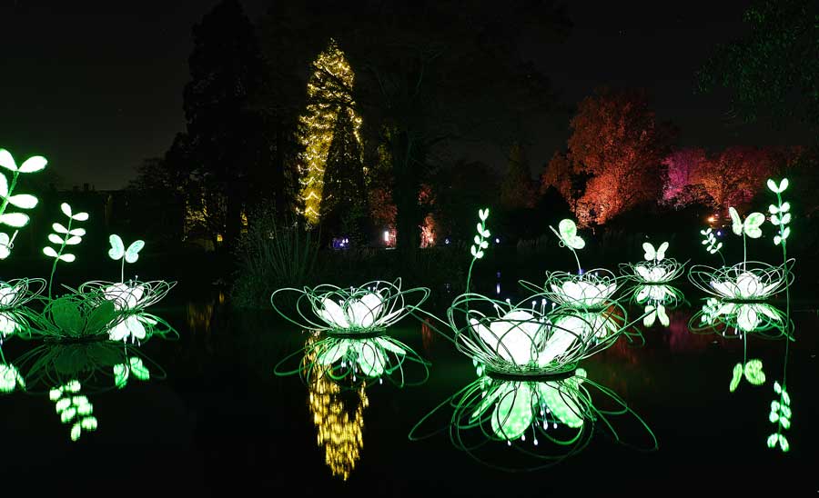 Luminous flowers and butterflies on Mansion Pond at Glow Wild Wakehurst West Sussex