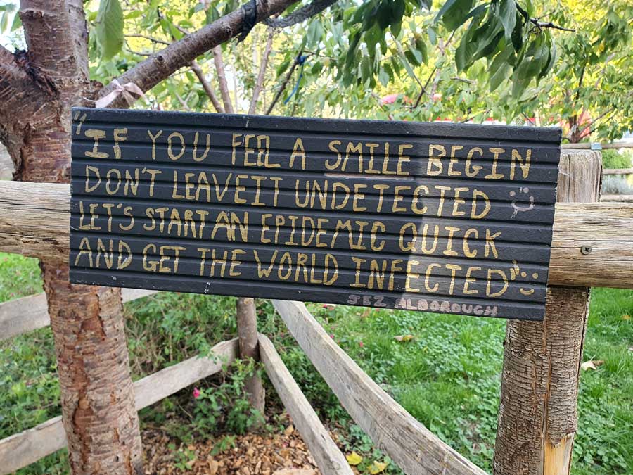 Inspirational sign by Jez Alborough at Brixton Orchard Brixton London