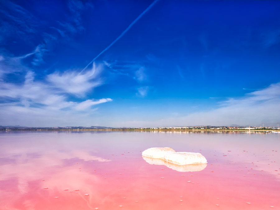 The Pink Lake of Torrevieja Natural Park of the Lagunas de la Mata y Torrevieja