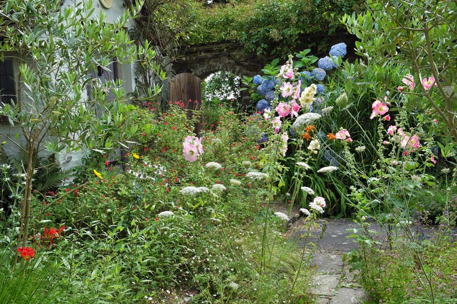 The garden at Five Oaks Cottage West Burton Petworth West Sussex