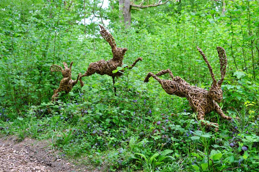 3 leaping wicker hares on the Pearcelands Sculpture Trail Wakehurst