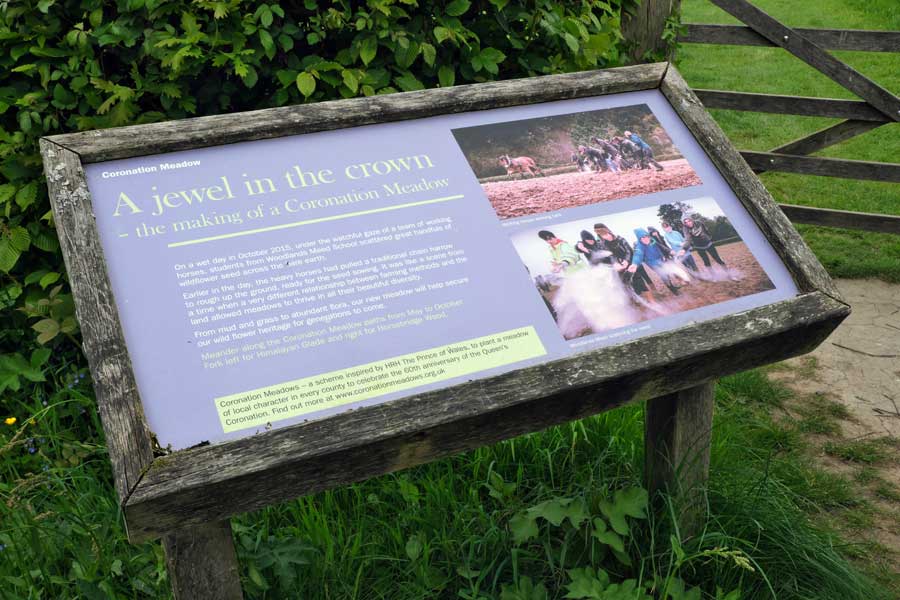 Information board for Coronation Meadow at Wakehurst West Sussex