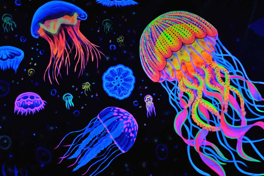 Neon jellyfish mural at Globalls Brighton Marina