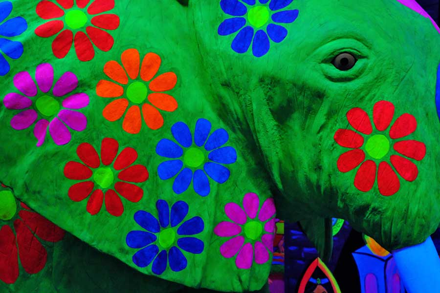 Close up of the head of a green neon painted model elephant with multi coloured flowers at Globalls Brighton Marina