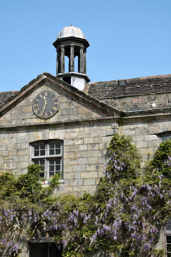 Wisteria in bloom at the Stable block café Wakehurst West Sussex