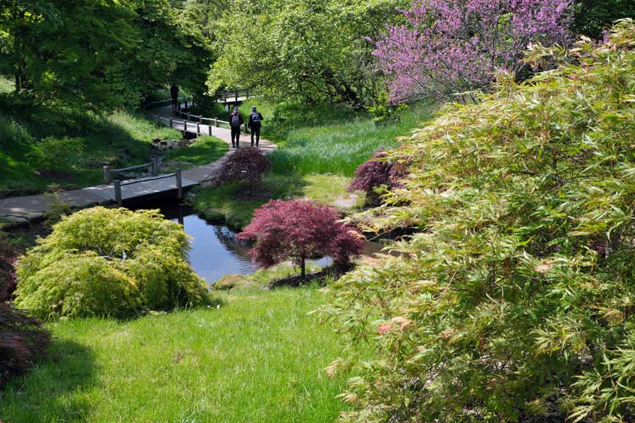 People walking on the boardwalk in the Water Gardens at Wakehurst West Sussex