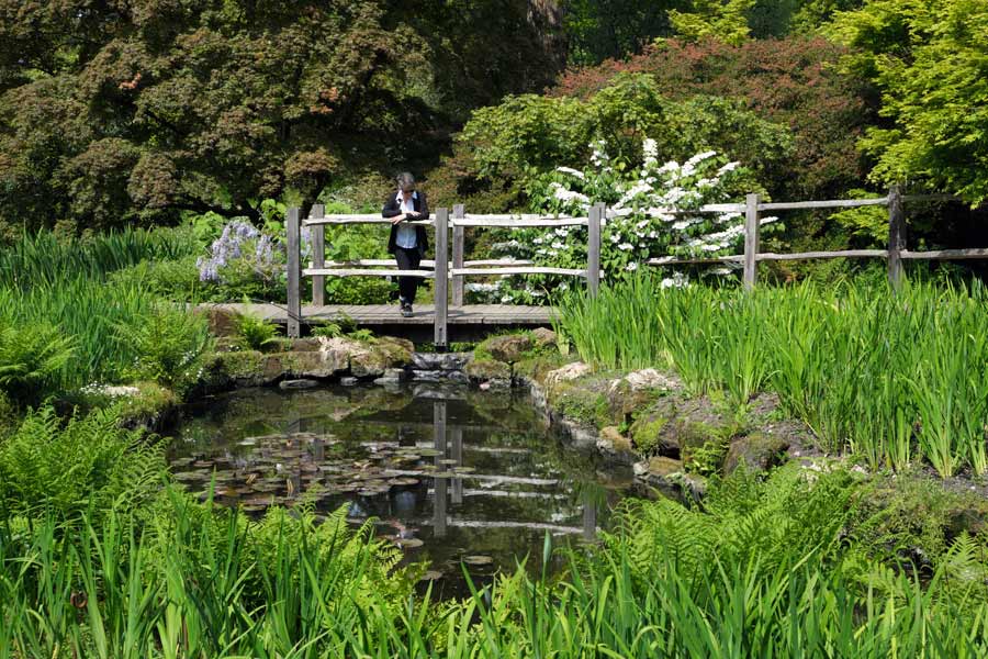 Person standing on bridge in the Water Gardens at Wakehurst West Sussex
