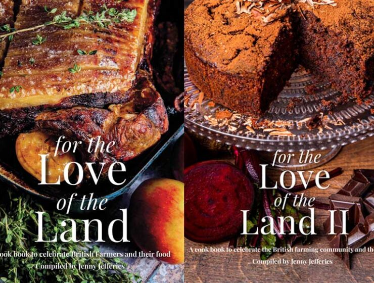 Book covers For the love of the land 1 and 2 by Meze Publishing