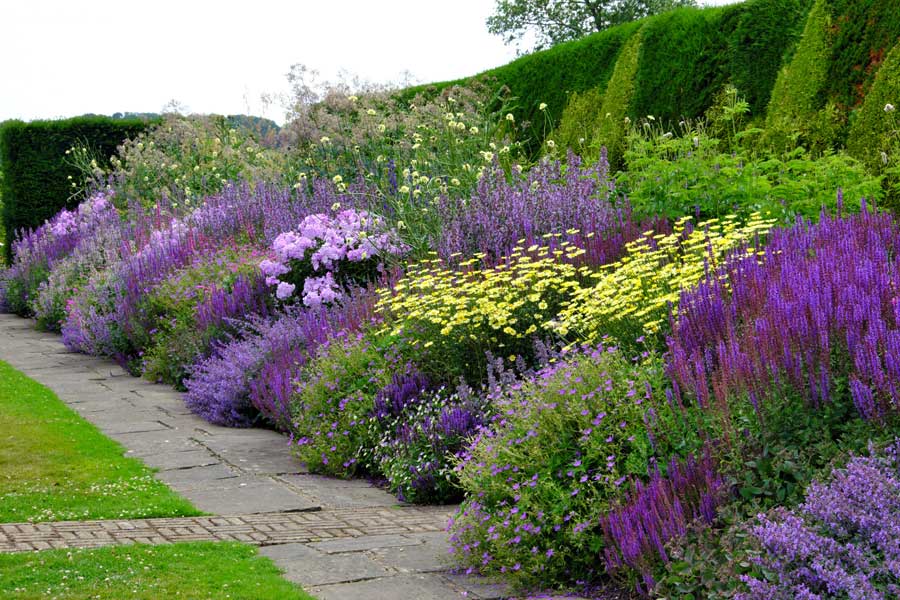 Colourful flowers in the Long Border at Town Place Garden West Sussex UK