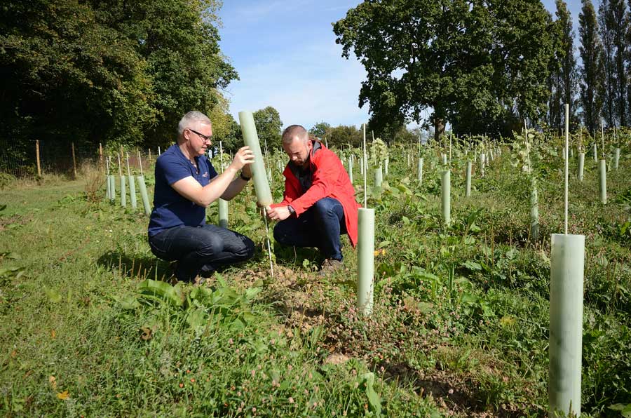 Chris Phipps and David McNally tending the vines at Hidden Spring Vineyard East Sussex in 2016