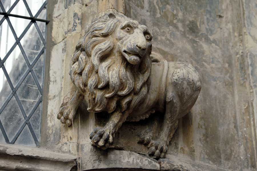 Stone lion carving on the wall in the Great Hall at Gainsborough Old Hall, Lincolnshire, UK