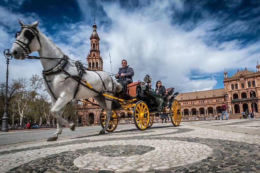 Sightseeing by horse and carriage in Seville