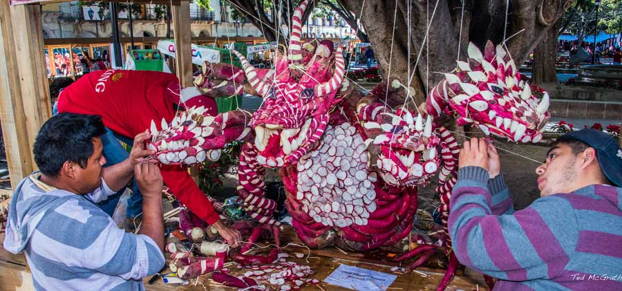 La Noche de Rábanos Radish carving in Oaxaca Mexico