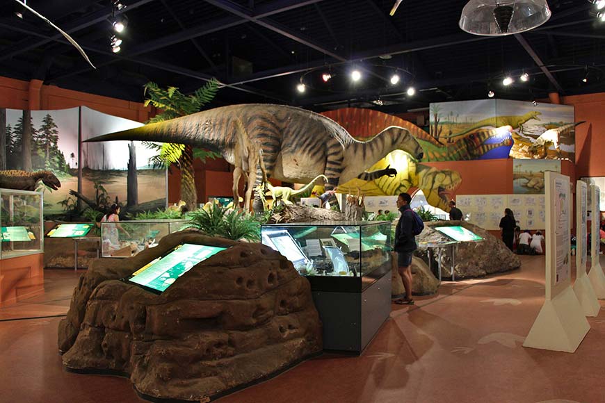 Dinosaur Hall at Dinosaur Museum, Isle of Wight