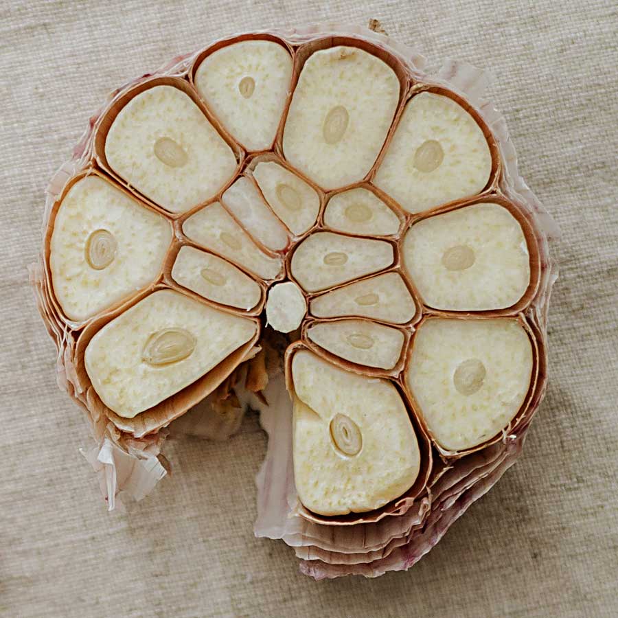 Sliced garlic bulb showing garlic cloves