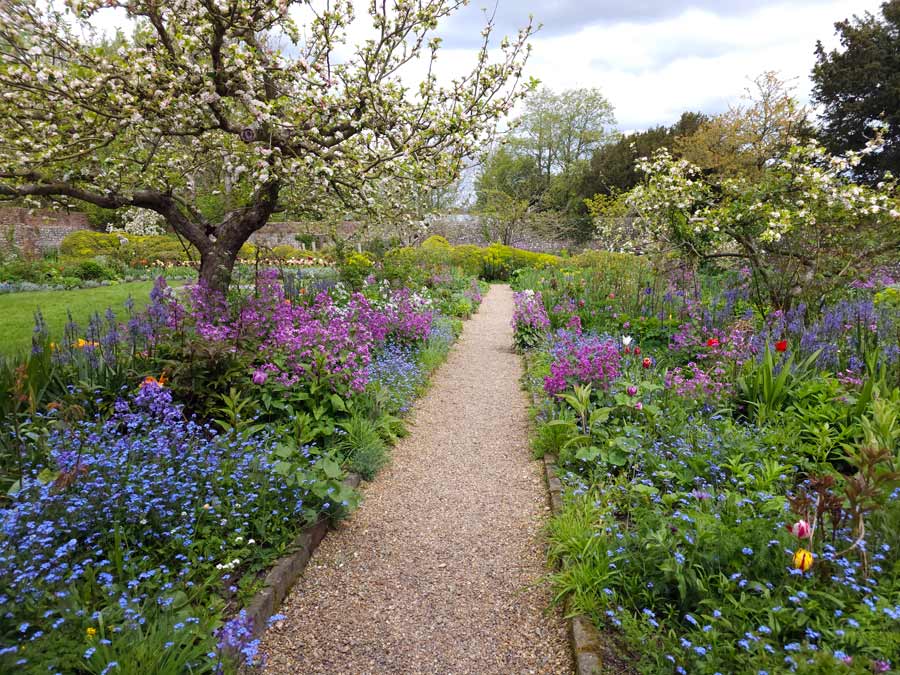 Gravel path through borders of spring flowers and apple trees at Charleston Farmhouse Firle East Sussex