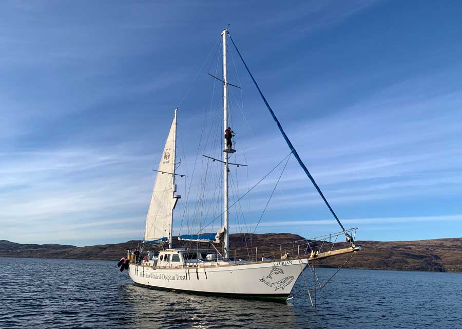 Hebridean Whale and Dolphin Trusts research vessel, Silurian