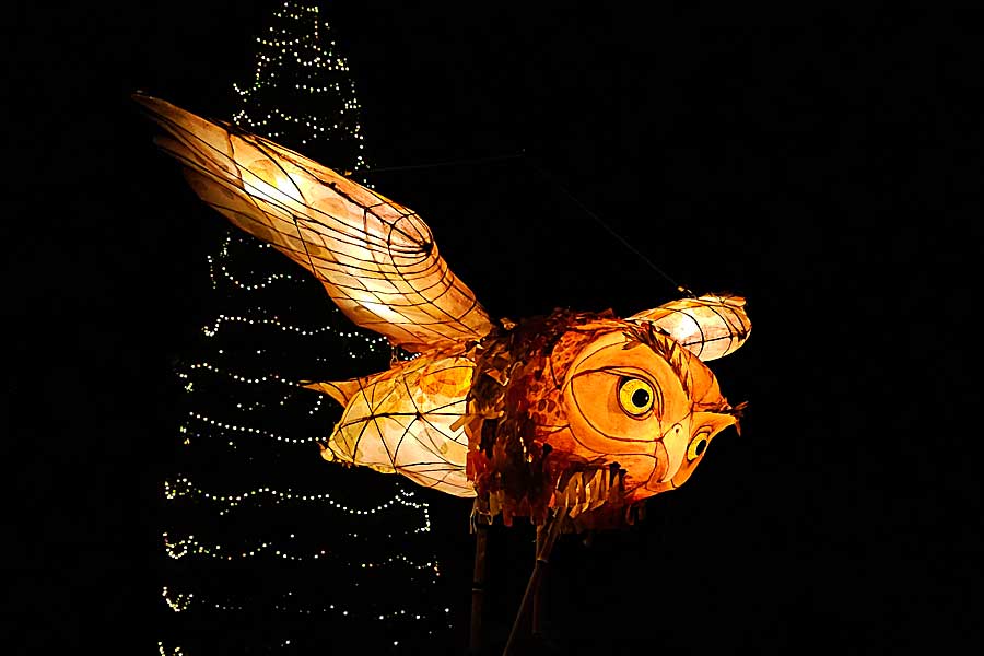 Illuminated owl crafted in tissue, and bamboo by the giant Christmas tree at Wakehurst