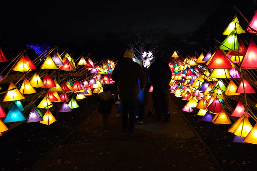 Hand held illuminated coloured paper lantern