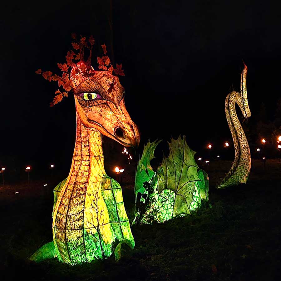 Large illuminated coloured lantern of a dragon at Wakehurst Glow Wild