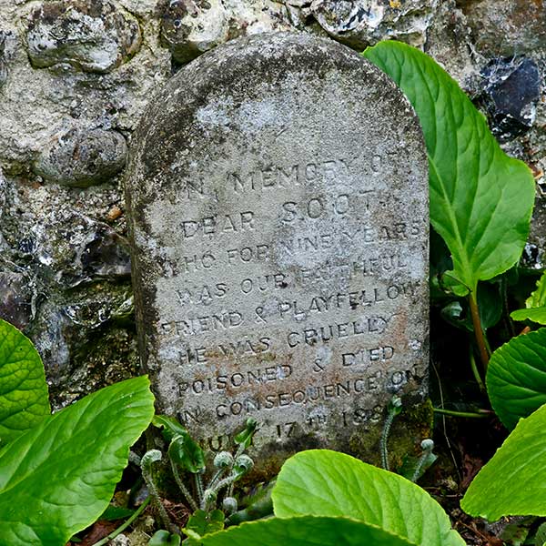 Pet grave marker for Soot one of Ellen Stanford's dogs in Preston Park garden Brighton