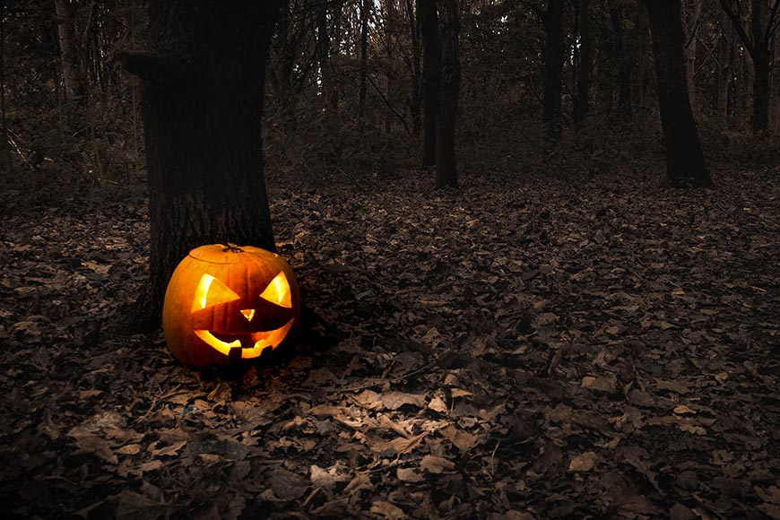 Hallowen Pumpkin in the forest, Burton on Trent England, UK.

best UK Halloween events