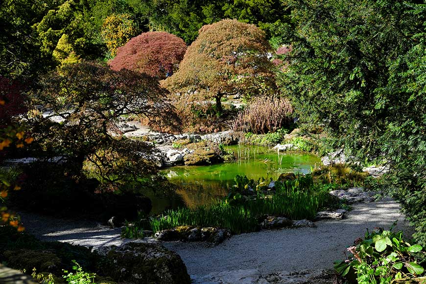 Limestone rock garden at Sizergh Castle, Cumbria