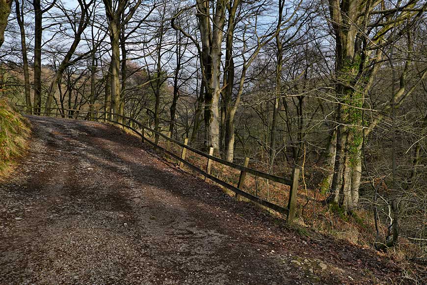 Woodland path on the Ingleborough Estate Nature Trail Yorkshire UK