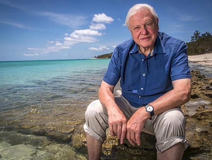 Photograph of Sir David Attenborough seated at the Great Barrier Reef, taken for his Great Barrier Reef series around 2015