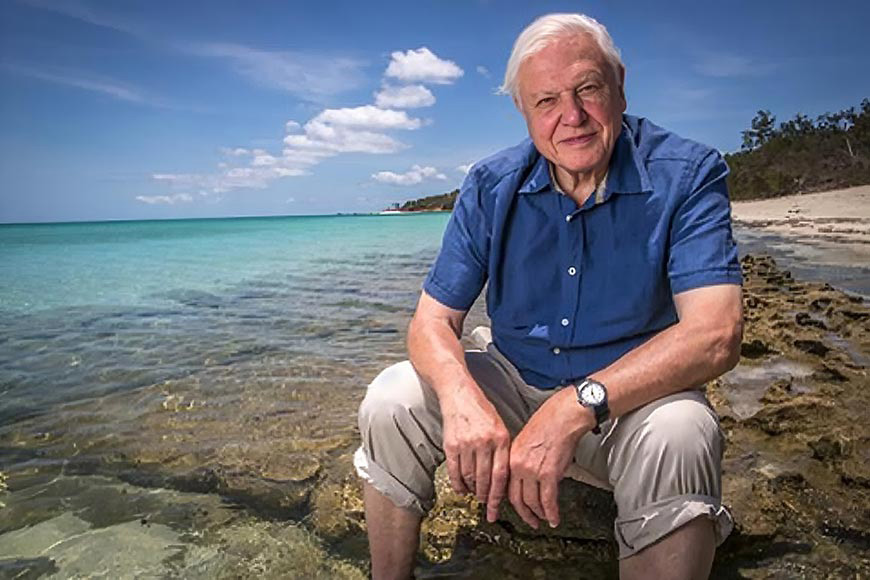 Photograph of Sir David Attenborough seated at the Great Barrier Reef, taken for his Great Barrier Reef series around 2015