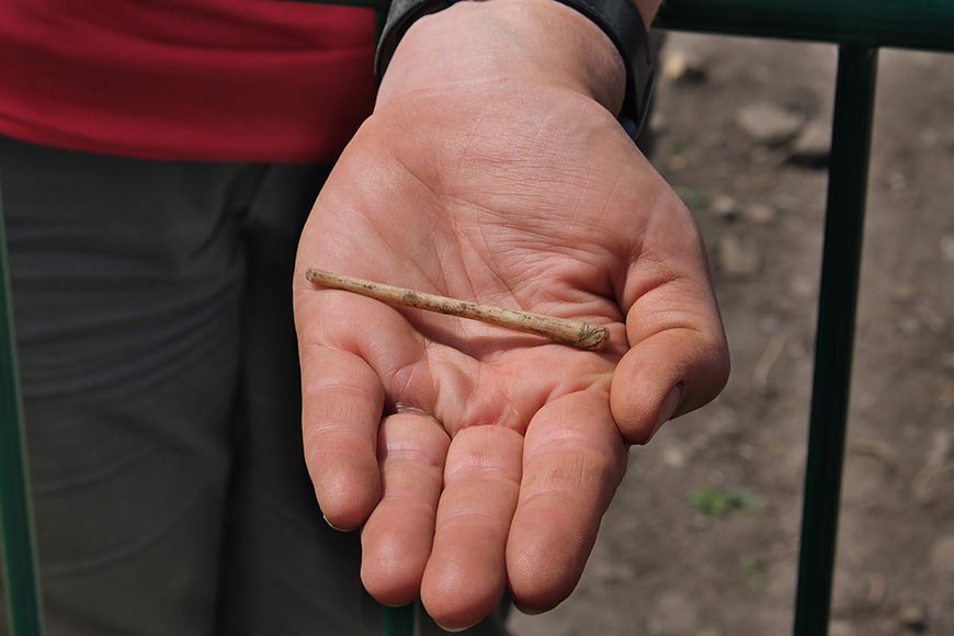 Open palm holding a small, Roman hairpin