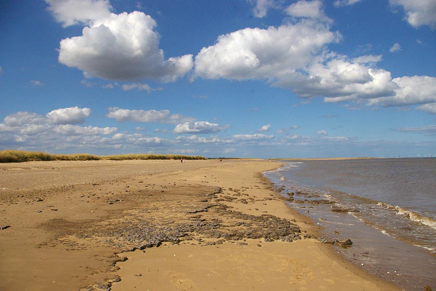Looking northwards along the shoreline, Gibraltar Point, Lincolnshire